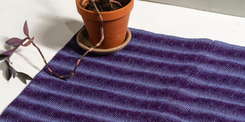 En liten krukväxt står på ett vitt bord bredvid en lila- och blårandig tygduk.