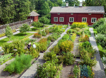 En prydlig trädgård med gångar och odlingsbäddar framför ett rött trähus på landet.