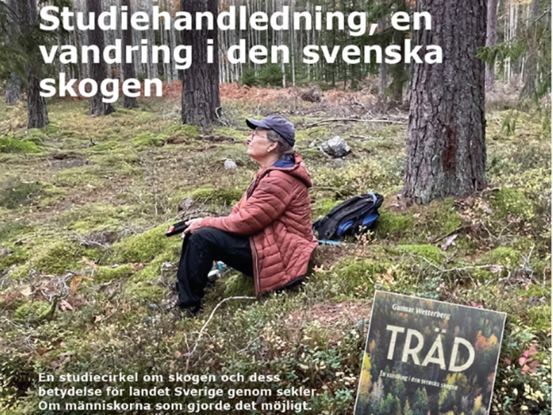 Person sitter på mossig mark i en svensk skog med en bok om träd framför sig.