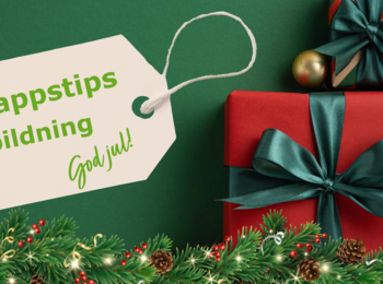 Julklappstema med gröna och röda paket, grankvistar och etikett med texten 'Julklappstips Folkbildning God jul!'.