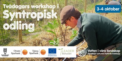 Man planterar växter under en workshop i syntropisk odling, utomhus på en inhägnad odlingsplats.