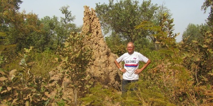 Person står bredvid en stor termitstack i en grönskande, buskig naturmiljö.