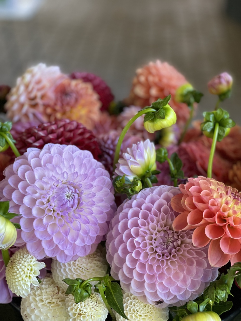 Närbild på en bukett dahlior i olika färger, inklusive lila, rosa, vitt och orange.