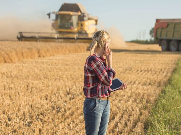 En person med rutig skjorta pratar i mobil med en iPad i andra handen på en åker. I bakgrunden arbetar en skördetröska och en lastbil.