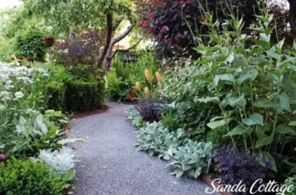 En slingrande grusgång leder genom en frodig trädgård med många gröna växter och blommor.
