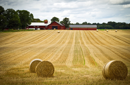 Ett fält med rundbalar av halm framför en röd ladugård och gröna träd under en molnig himmel.