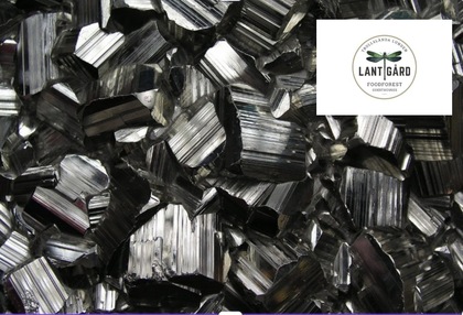 Närbild av glänsande metalliska mineraler med en logotyp för Lantgård i övre högra hörnet.