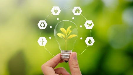 En hand håller en glödlampa med en växt inuti, omgiven av ikoner för hållbarhet och miljö.