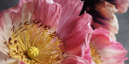 Folkliga traditioner - pappersblommor - Härjedalsslöjd Västra