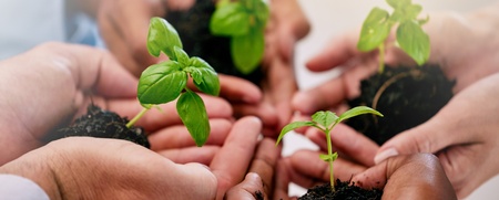 Flera händer håller små plantor med jord, symboliserar samarbete och hållbarhet.