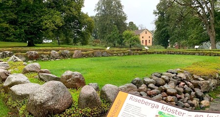 Stenmur och grön gräsmatta vid Riseberga kloster, med informationsskylt och träd i bakgrunden.