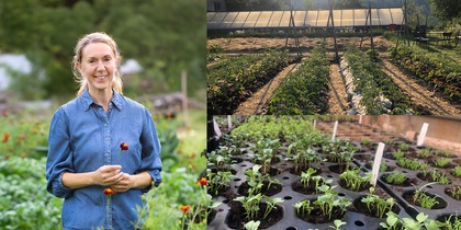 En person i blå skjorta står i en grönsaksodling, med två bilder på odlingsbäddar och plantor bredvid.