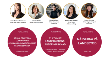 "Ladies Night" - Tema; Vi skapar landsbygdens arbetsmarknad