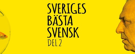 En man tittar på en guldfisk i en skål mot en gul bakgrund med texten 'Sveriges bästa svensk del 2'.