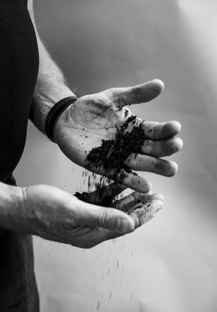 Två händer håller och låter jord rinna mellan fingrarna, svartvit bild.