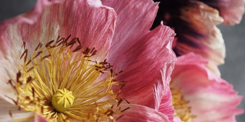 Folkliga traditioner - pappersblommor - Härjedalsslöjd Västra