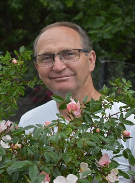 En person i vit tröja står utomhus bakom en buske med rosa och vita rosor.