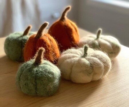 Fem tovade pumpor i grönt, orange och vitt står på ett ljust träbord i mjukt dagsljus.
