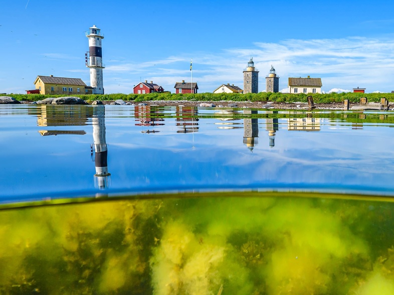 Vy över vattenyta med sjögräs under och fyrar samt hus på land i bakgrunden under blå himmel.