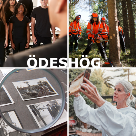 Fyra bilder: körsång, skogsarbetare, gamla foton under förstoringsglas och kvinna i biodlardräkt. Texten Ödeshög i mitten.