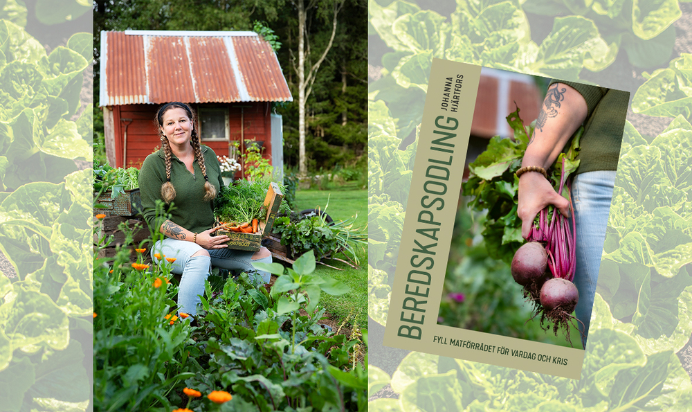 Kvinna sitter i grönsaksland med korg fylld av morötter, bokomslag med rödbetor och texten 'Beredskapsodling'.
