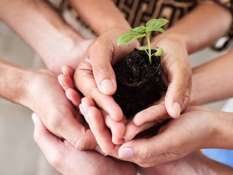 Flera händer håller tillsammans en liten planta med jord, symboliserar samarbete och hållbarhet.