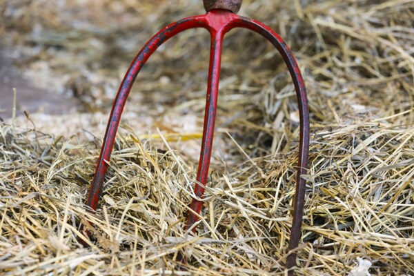 En grep nerstucken i marken och torkat gräs.