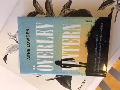 Bokomslag till 'Överlev vintern' av Arne Lowden, med siluett av en person mot blå och gul bakgrund.