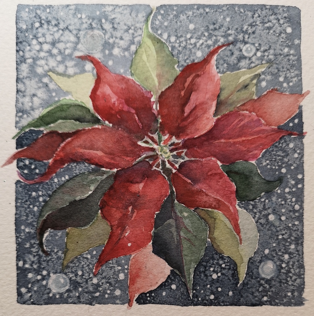 Akvarellmålning av en röd julstjärna mot en blå bakgrund med vita prickar som liknar snö.