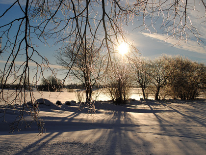 Solig vinterdag med snötäckta fält, träd och grenar täckta av is, långa skuggor på marken.