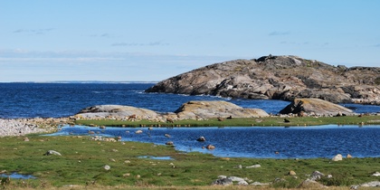 Kustlandskap med klippor, gräs, små sjöar och hav under en klarblå himmel.