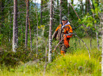 En jägare i orange och kamouflagekläder går med gevär genom en grön skog.
