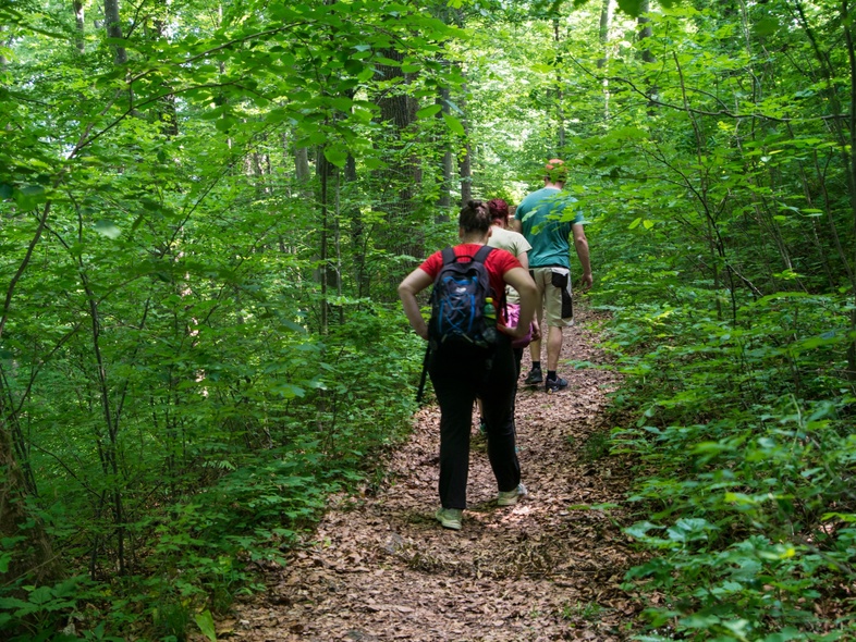 Två personer vandrar på en skogsstig omgivna av grönska och träd.