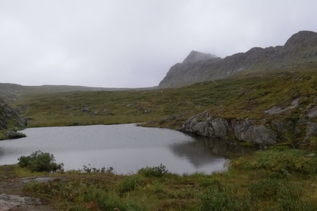 Dimhöljd fjällsjö med grön vegetation och stenig terräng i förgrunden, berg i bakgrunden.