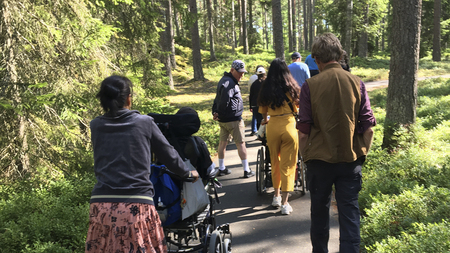 En grupp människor promenerar på en skogsstig, några skjuter rullstolar framför sig.