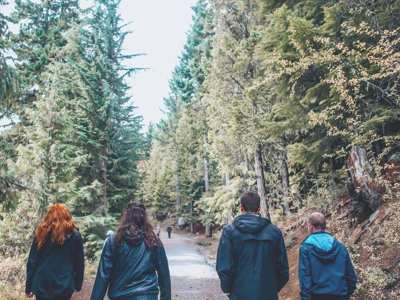 En grupp personer går på en grusväg genom en granskog.