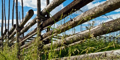 En traditionell trästaket av rundstockar i en grön äng under blå himmel med vita moln.