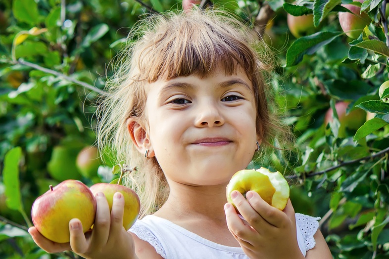 Ett leende barn håller äpplen i båda händerna i en grönskande äppelträdgård.