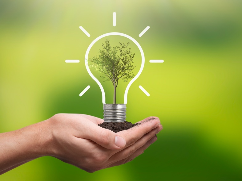 Två händer håller jord med en glödlampa där ett träd växer inuti, mot en grön bakgrund.