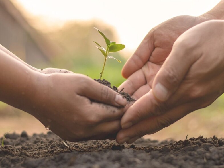 Två par händer sätter en planta i jorden.