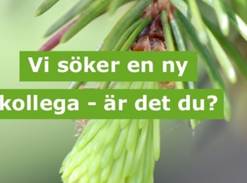 granskott text ny kollega