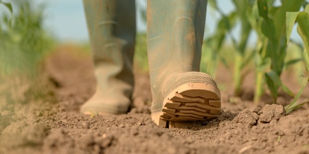 En person med gröna stövlar går på en jordig åker bredvid växande plantor.