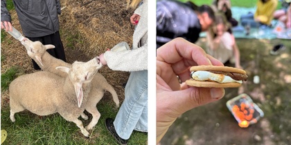 Två lamm matas med nappflaska utomhus, och en hand håller en s'more vid en picknick med människor i bakgrunden.