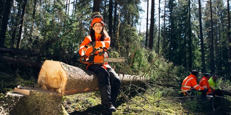 En person i orange skyddskläder sitter på en fälld trädstam i en skog med en motorsåg i händerna.