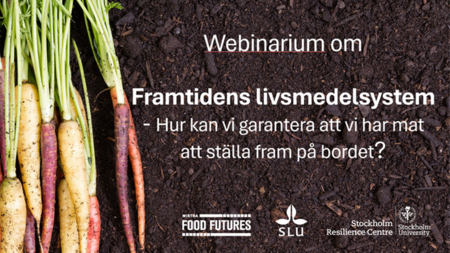 Föreläsning Framtidens livsmedelssystem - Hur kan vi säkerställa att vi har mat på bordet?