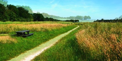 En grusväg slingrar sig genom ett grönt fält med högt gräs, en bänk står till vänster och skog syns i bakgrunden.