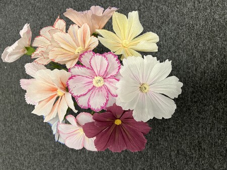 En bukett med färgglada blommor i olika nyanser på en grå yta.