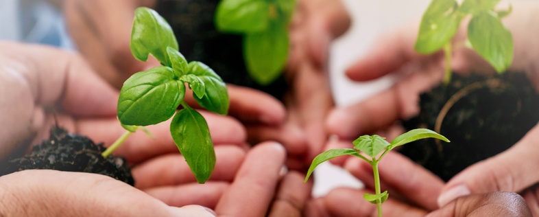 Flera händer håller små plantor med jord, symboliserar samarbete och hållbarhet.