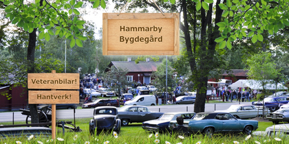 Utomhusmarknad vid Hammarby Bygdegård med veteranbilar, hantverk och många besökare bland träd och gräs.