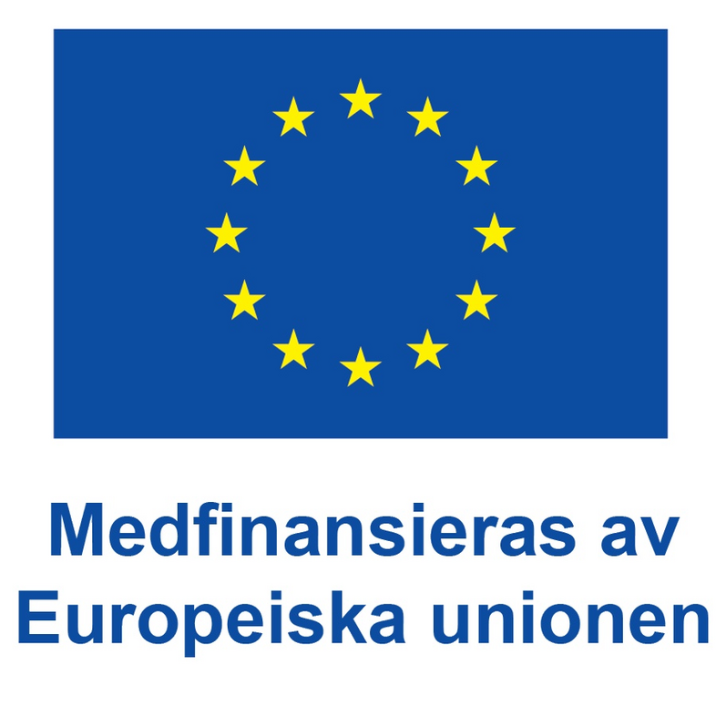 EU-flagga med texten 'Medfinansieras av Europeiska unionen' under.